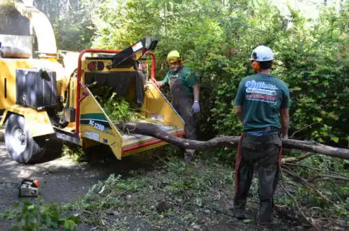 tree services Wheeling